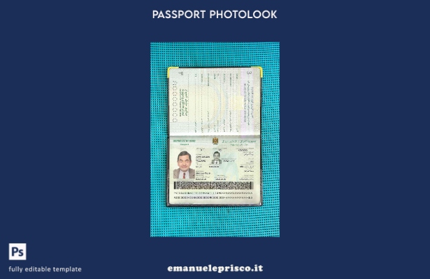 modello di aspetto fotografico del passaporto iracheno in stile verificato